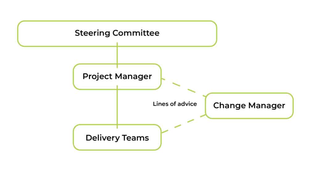 Steering Committee, project manager, delivery teams and lines of advice change manager